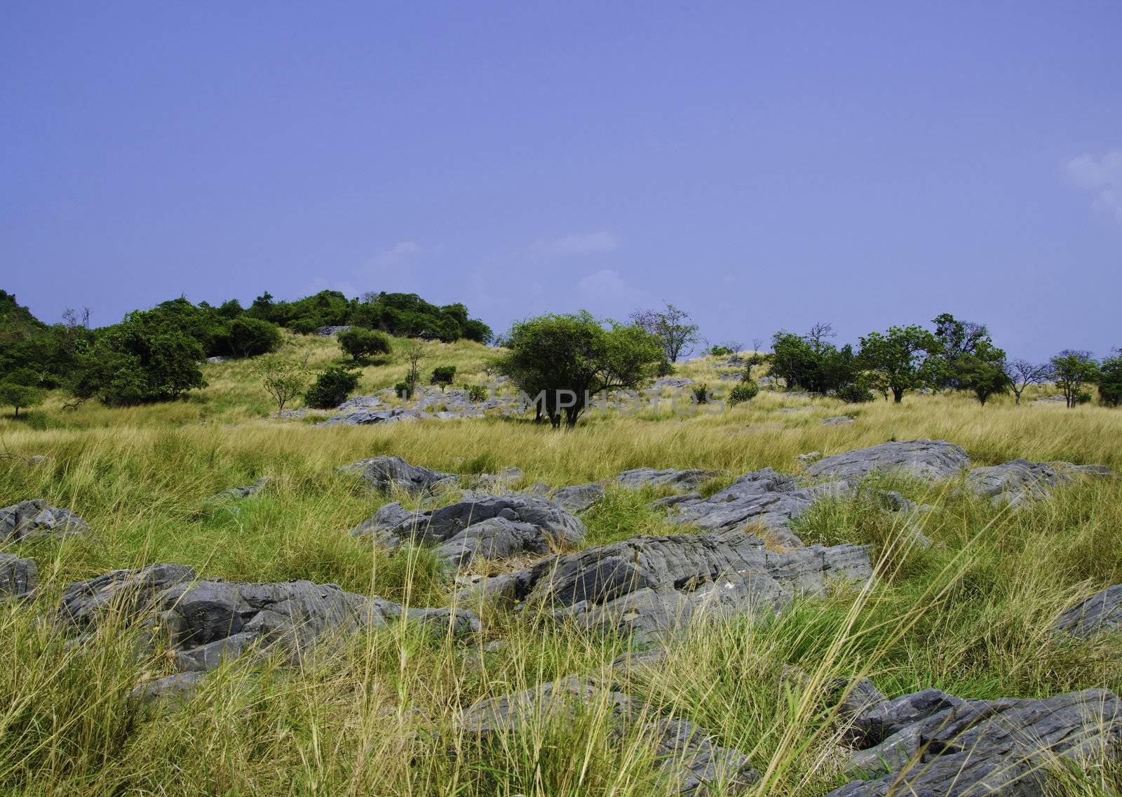 Green rural field at Si Chang island, Thailand