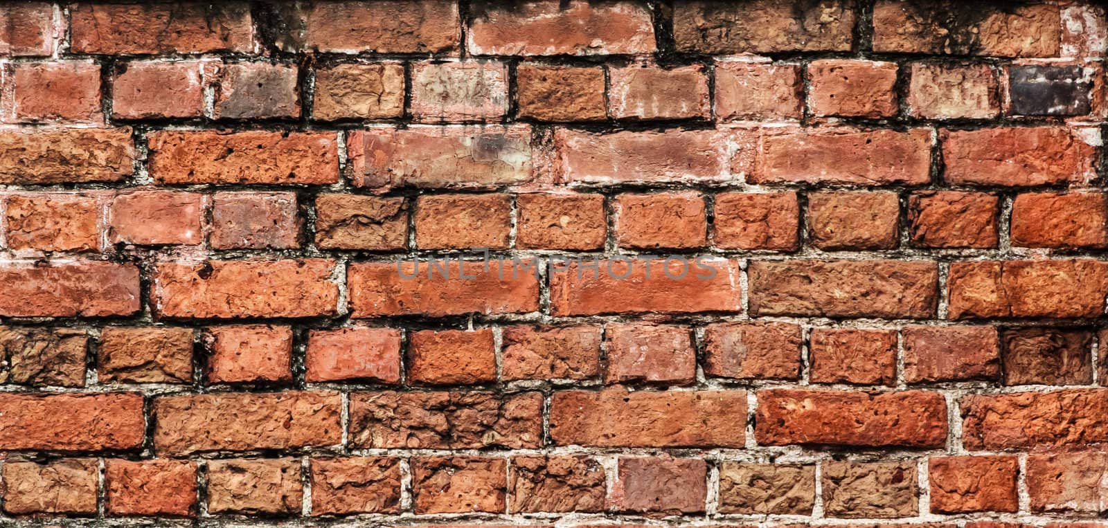 Weathered Old Brick Wall background, Closeup