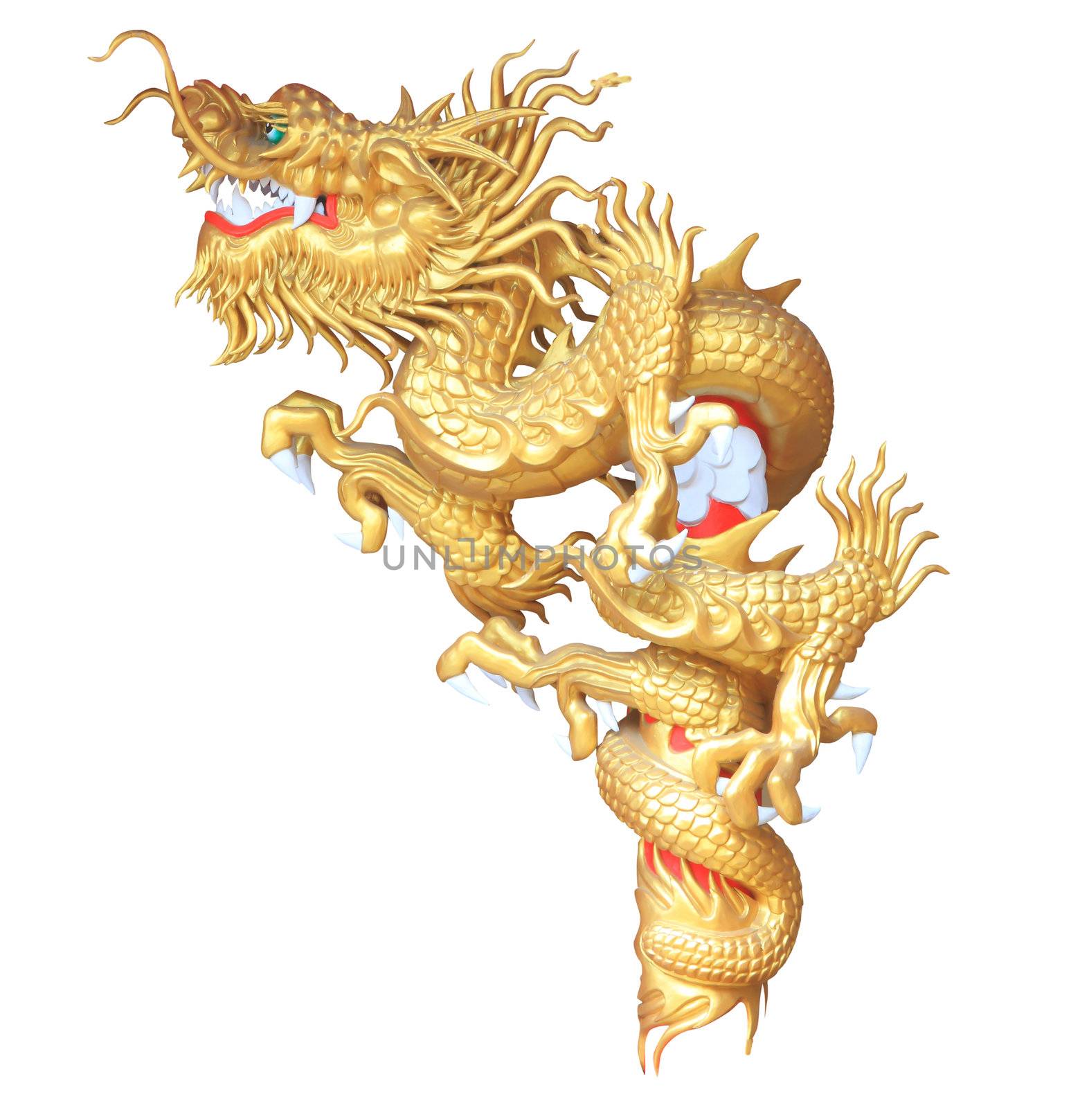 gold dragon on white background  by rufous
