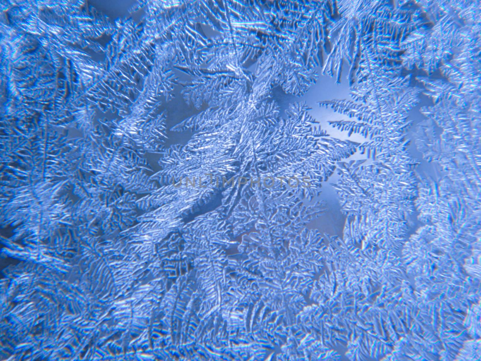 Close up of Ice Flowers