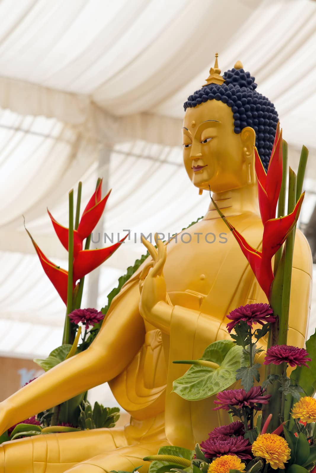 Golden Bronze Buddha Statue on Public Display