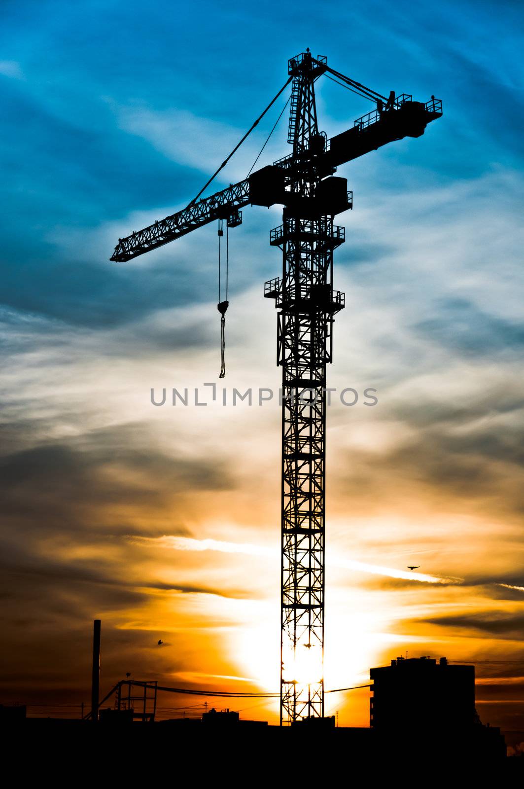 Crane silhouette at the sunset time, high dynamic range style