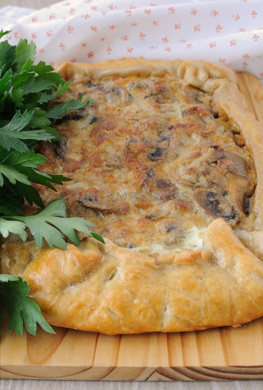 Tart with mushrooms in a creamy sauce with herbs close up