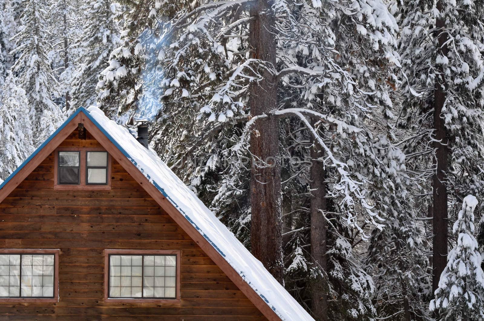 Cabin in the Snow