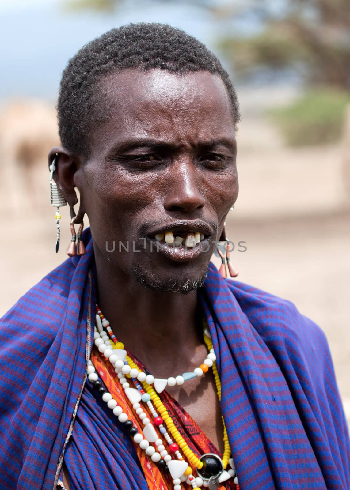 Ngorongoro Conservation Area, TANZANIA, AFRICA - DECEMBER 11: Maasai man portrait in traditional clothes on December 11, 2012 in Ngorongoro Tanzania. Maasai people are among the best known of African ethnic groups, due to their residence near the many game parks of East Africa, and their distinctive customs and dress
