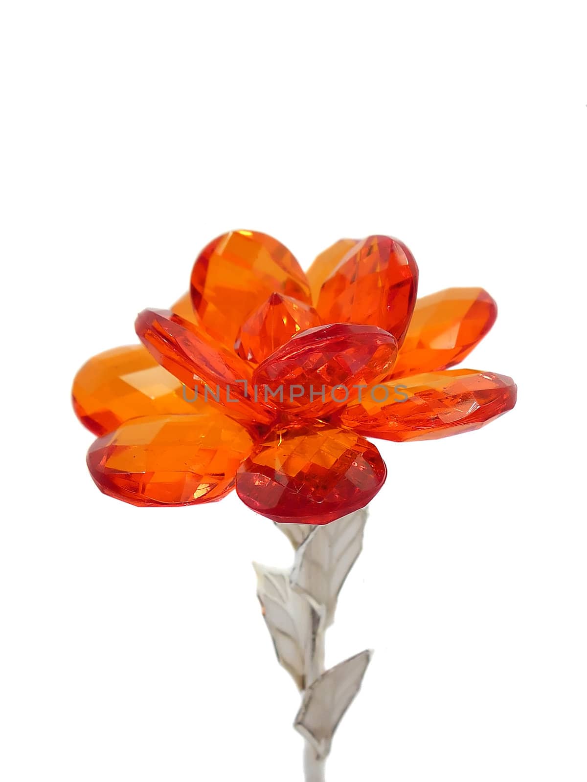 red glass flower on the white background