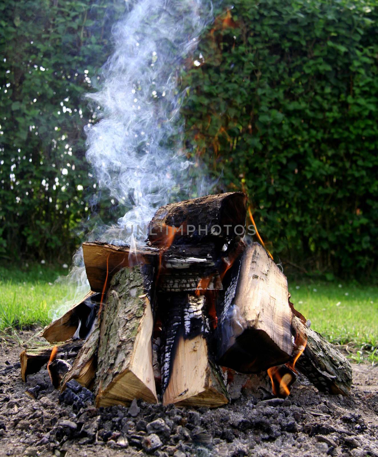 Close-up of bonfire with smoke, fireplace.