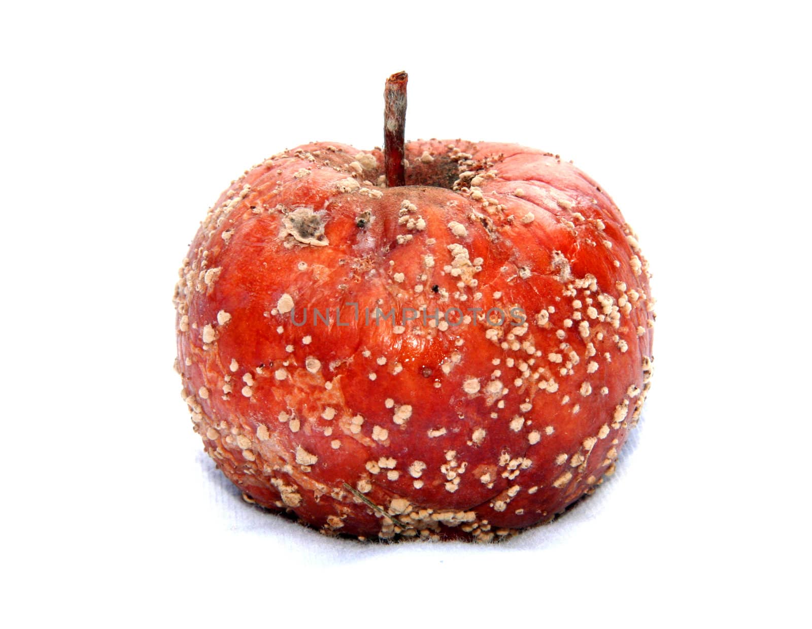 Rotten apple isolated on white.