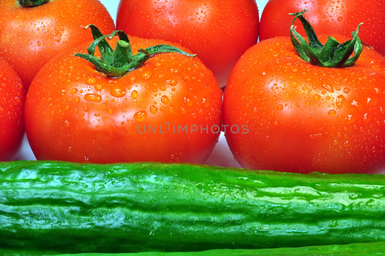 Fresh vegetables: tomatoes and cucumbers