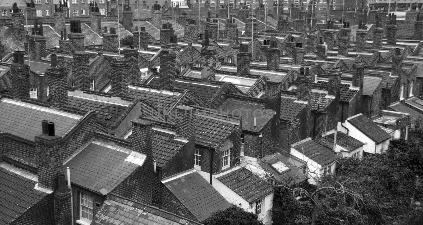 Roofs   London  U.K.  Black & White