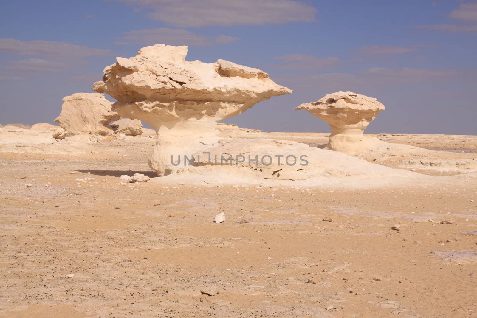 Whitte desert statue by jnerad