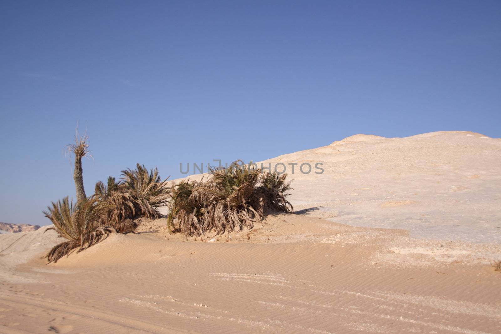 Wind and sand modeled rock sculptures in white desert