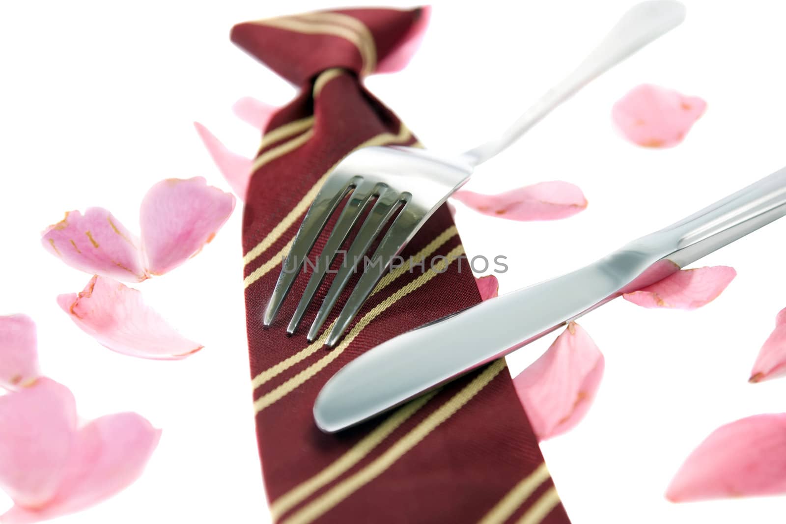 knife and fork with a school tie as concept for loving school dinners