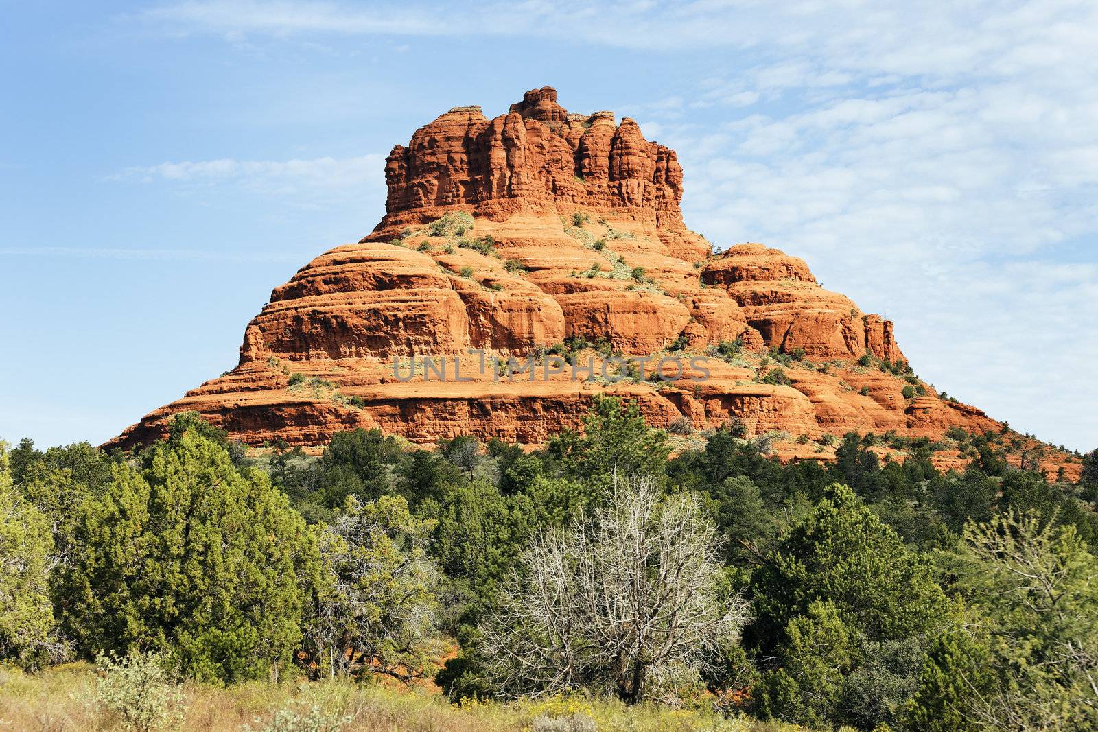 Some of the red rock of Sedona Arizona 
