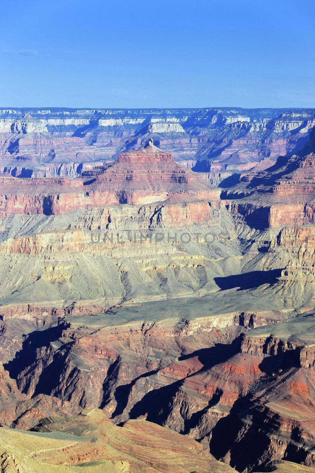 Beautiful Landscape of famous Grand Canyon