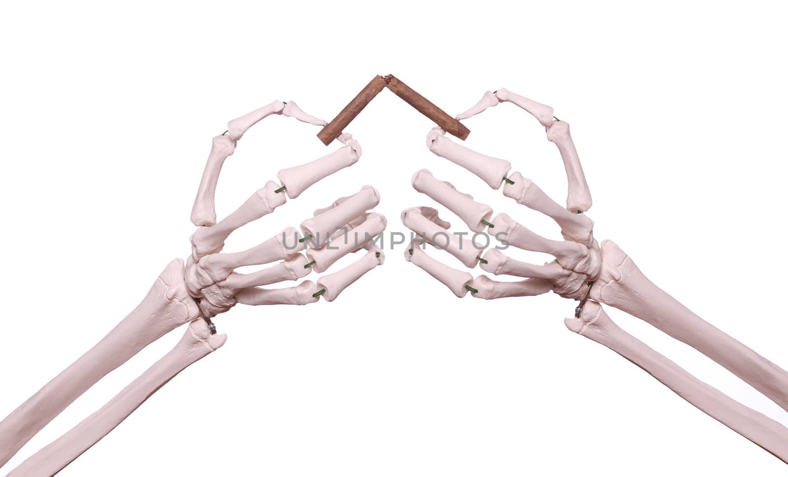 skeleton hands with broken cigar
