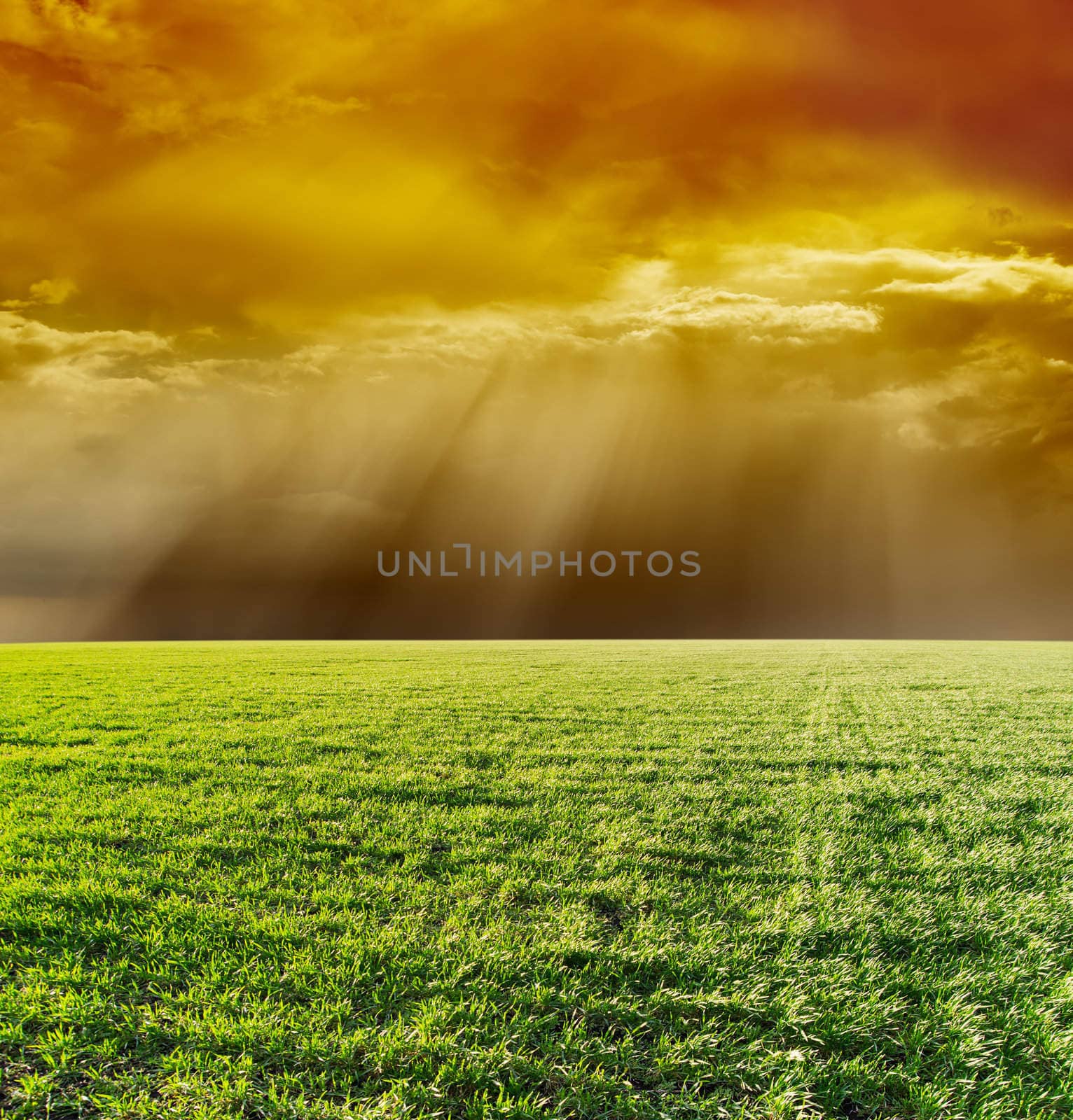 dramatic sky and green field