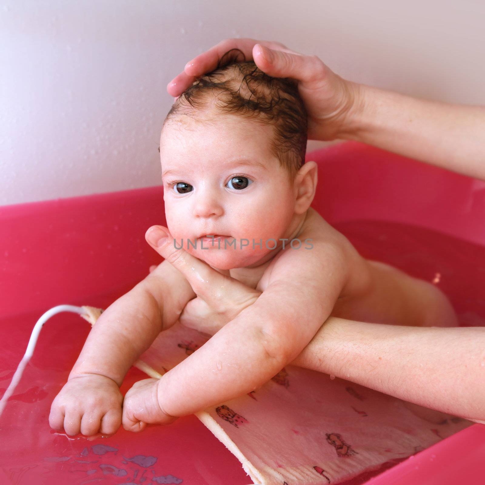 newborn baby bath in magenta bathtub by mother