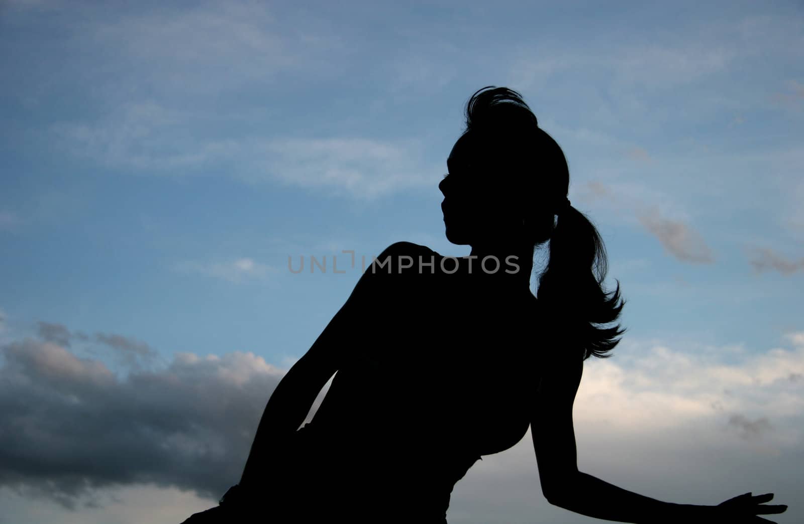 Silhouette Of A Woman And The Sky