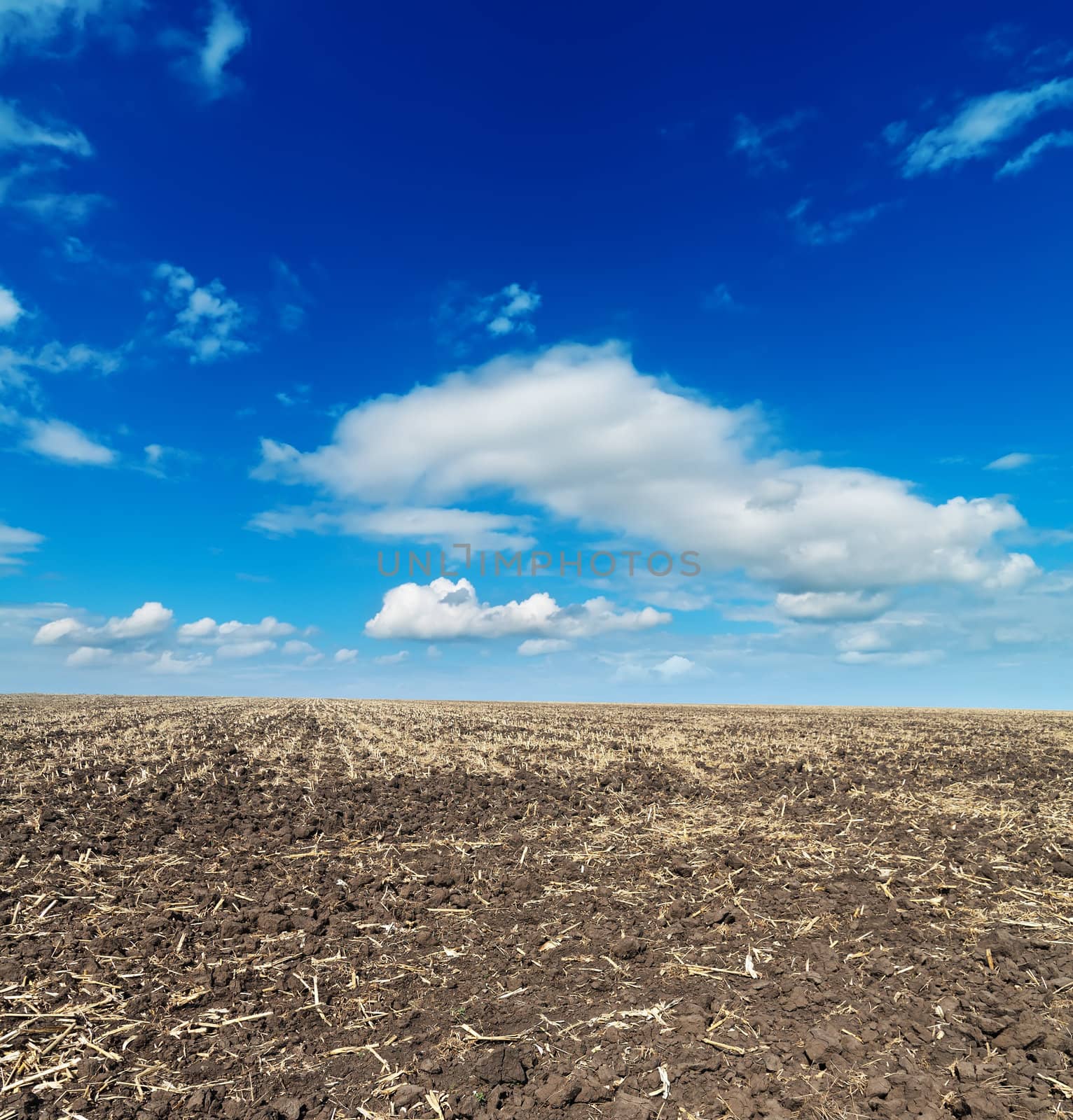 black cultivated field and blue sky by mycola