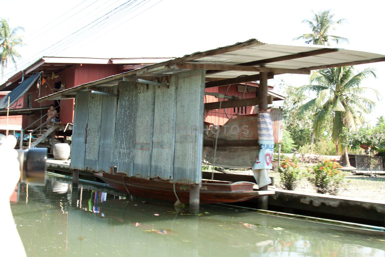 klongufer in bangkok by aidasonne