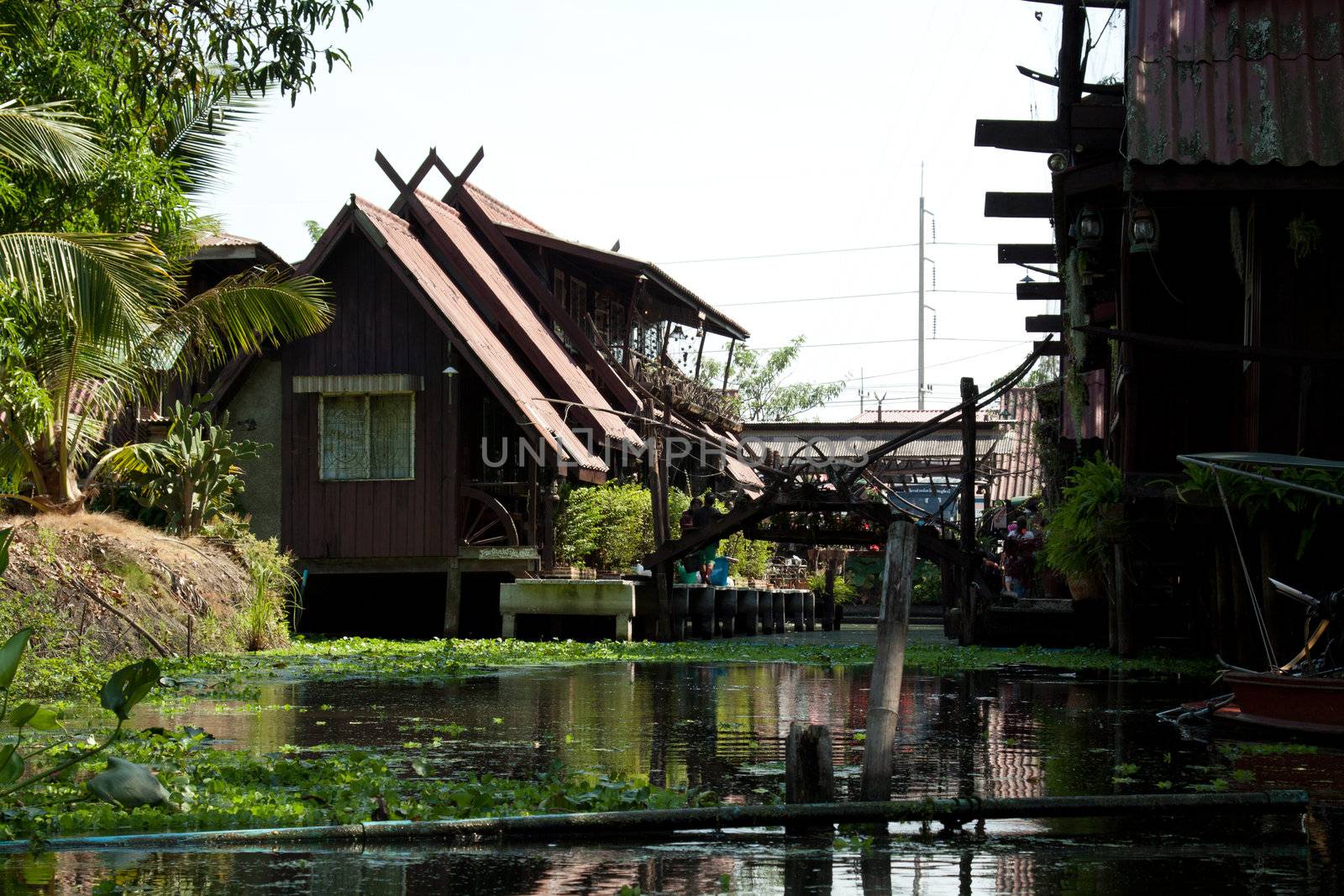 klongufer in bangkok by aidasonne