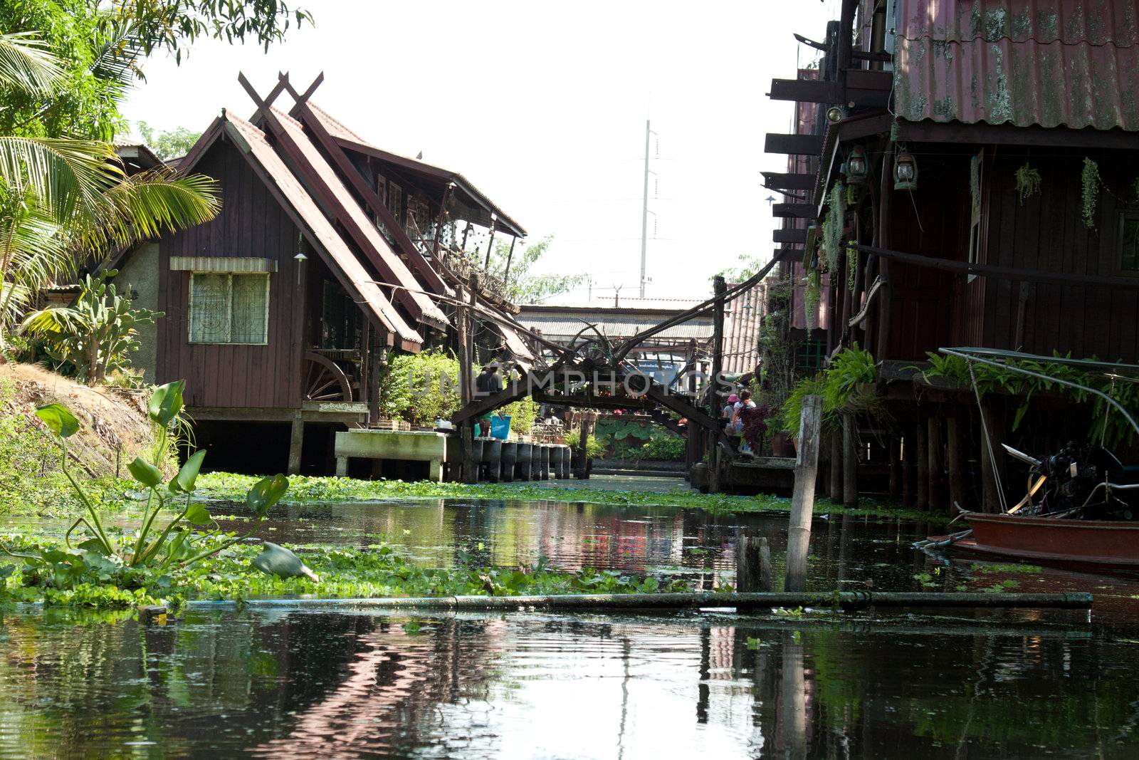 klongufer in bangkok by aidasonne