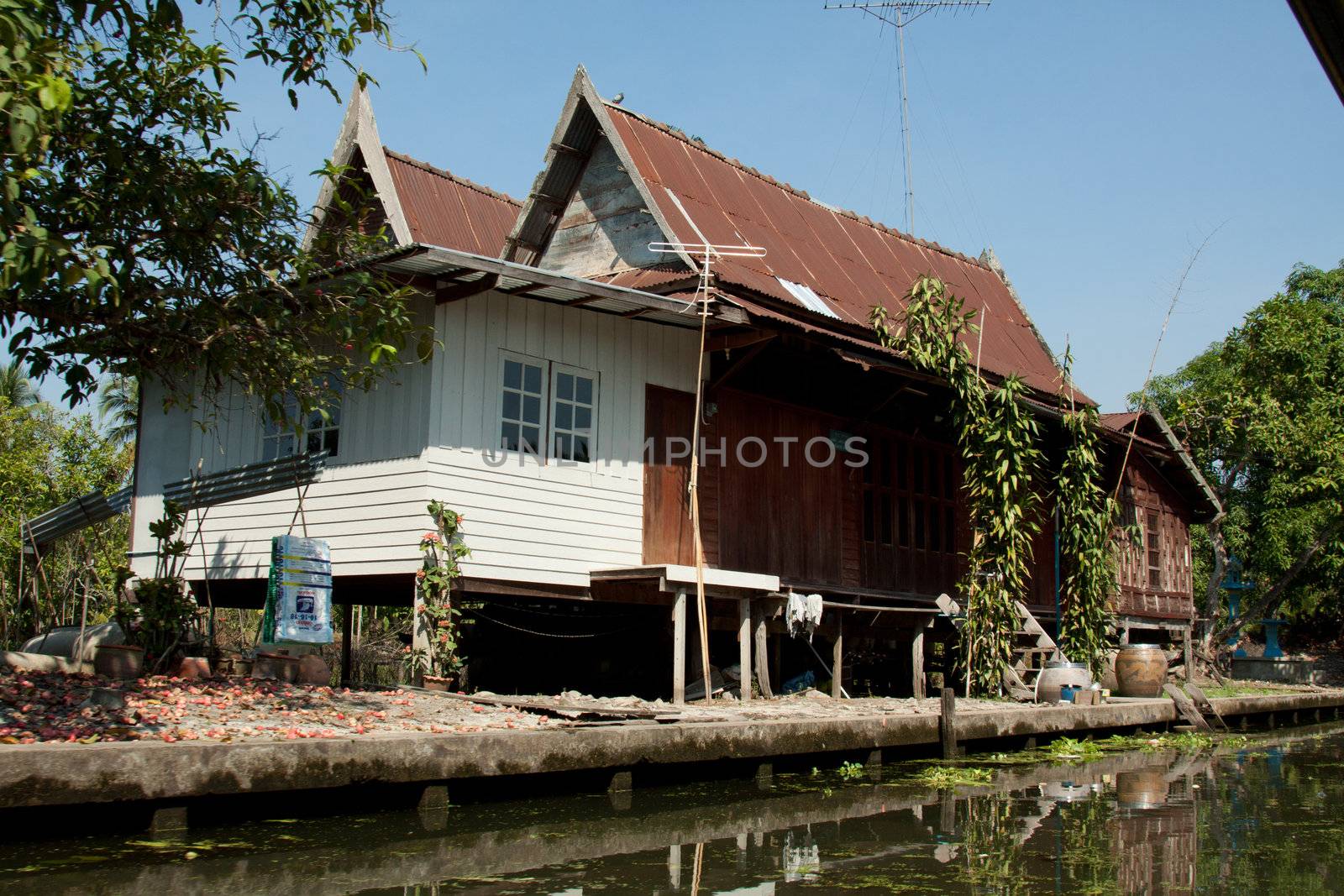 klongufer in bangkok by aidasonne