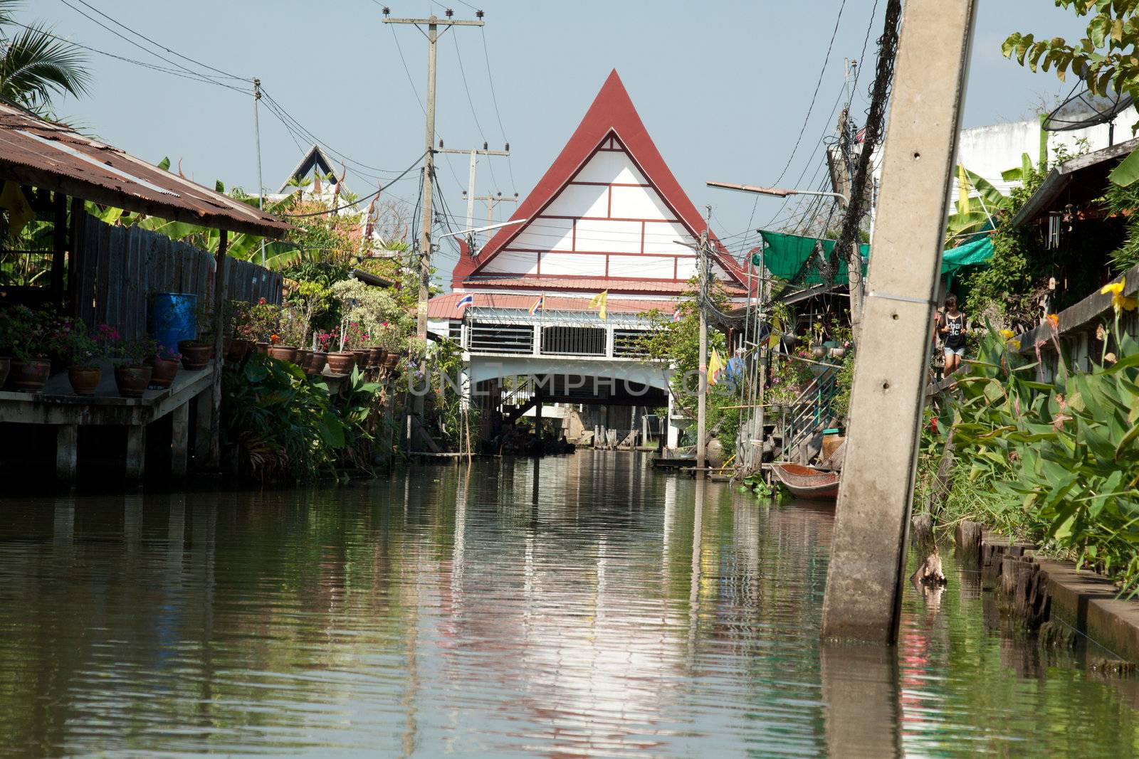 klongufer in bangkok by aidasonne