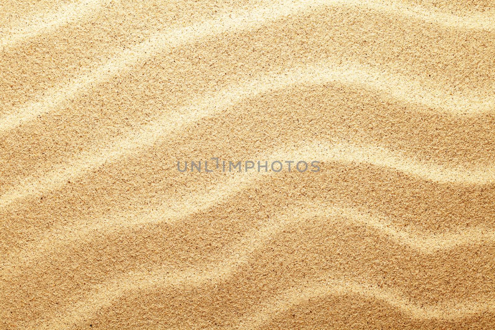 Sandy beach. Sand texture for background. Top view