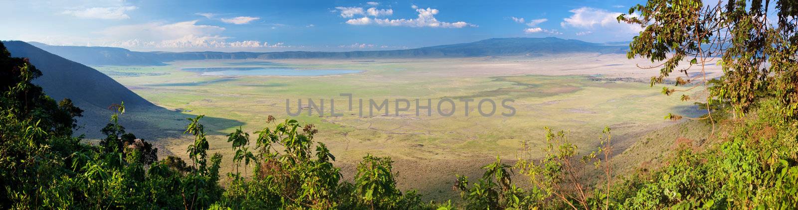 Ngorongoro crater in Tanzania, Africa. Panorama by photocreo