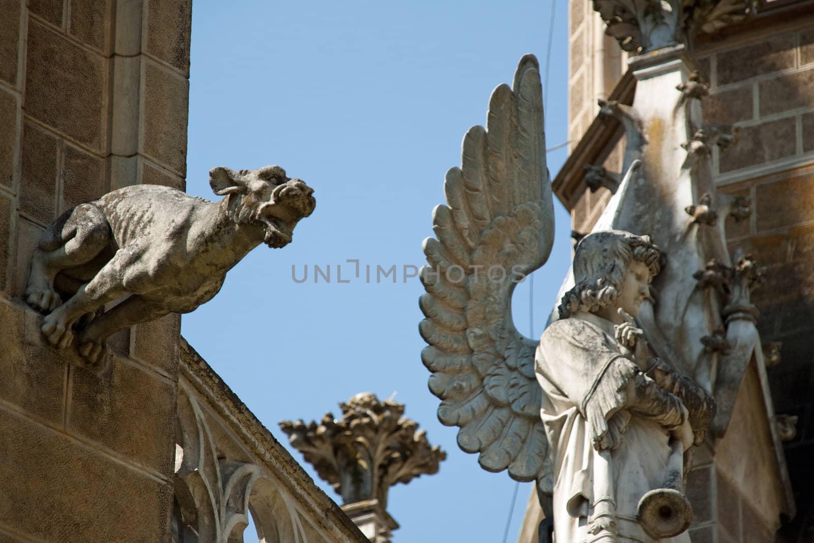 Angel and gargoyle on the crypt by jnerad