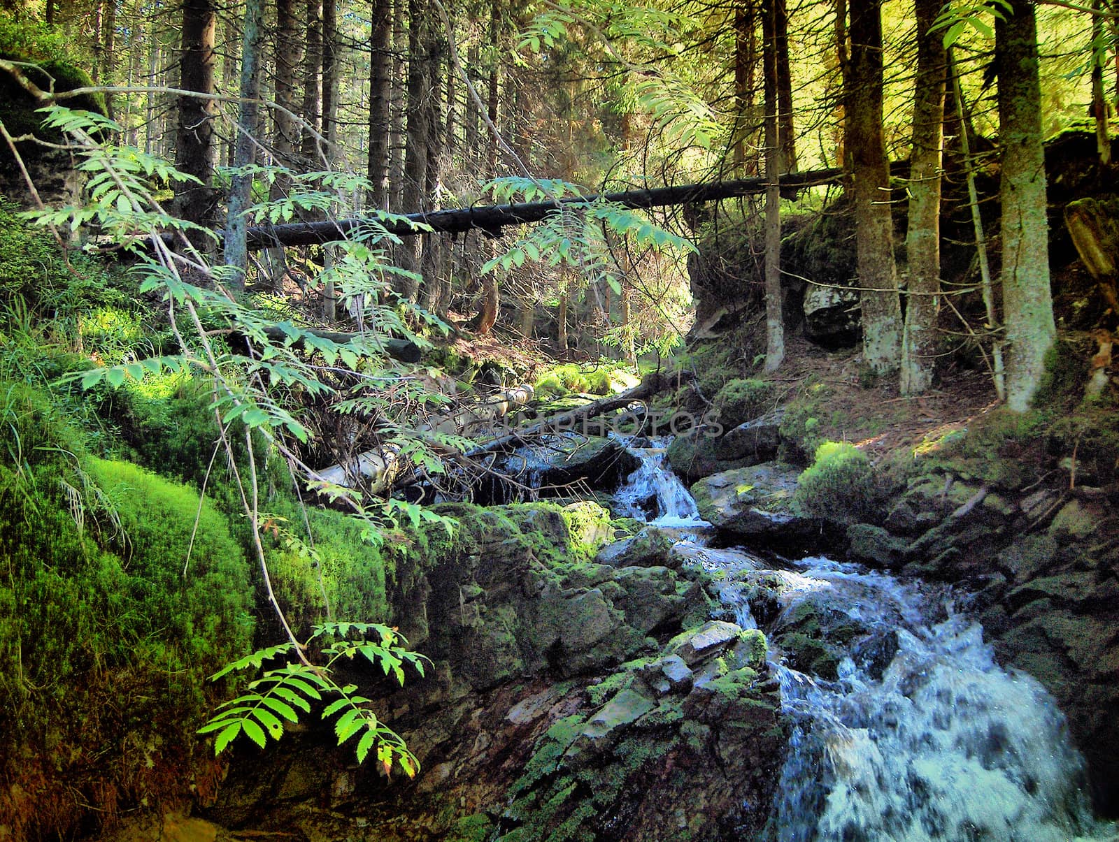 Mountain creek and waterfall in virgin forest,Czech