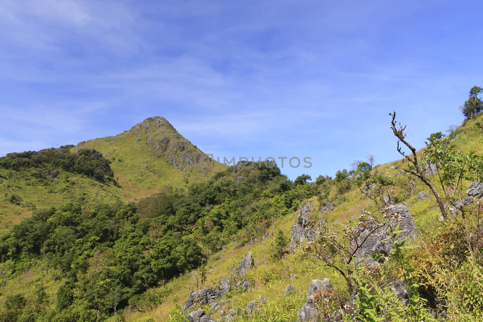 View from Doi Chiang Dao mountain, Chiang mai, Thailand.