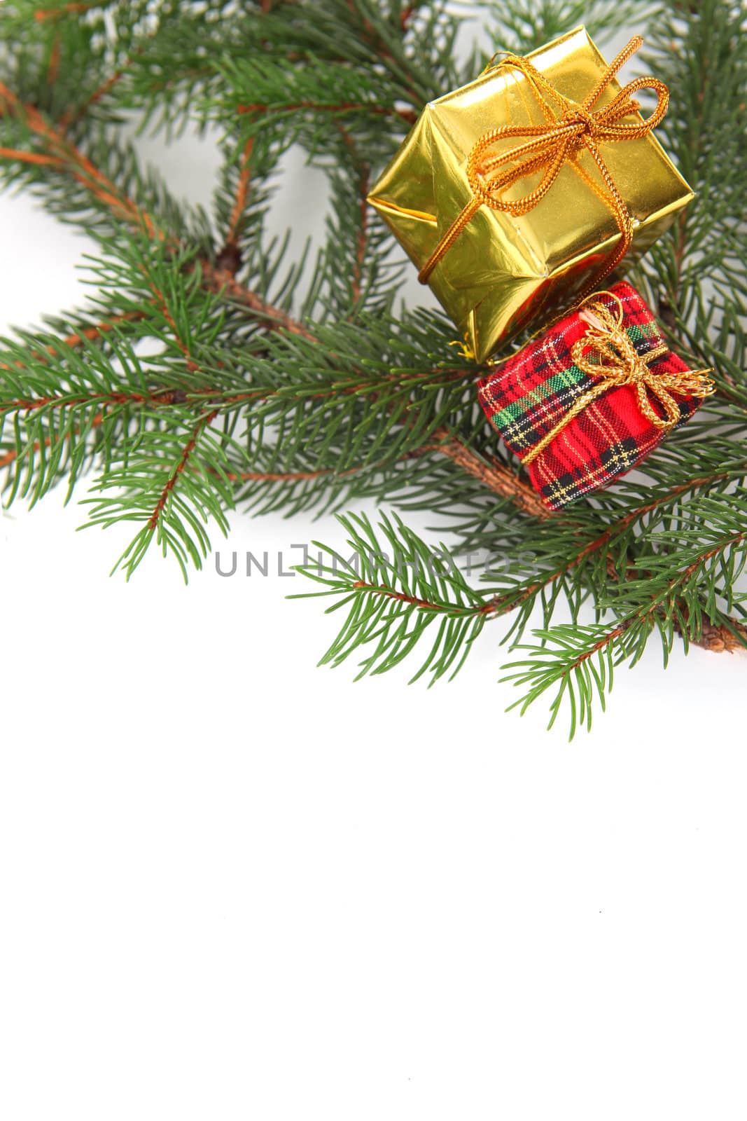 Christmas presents on a tree by phovoir
