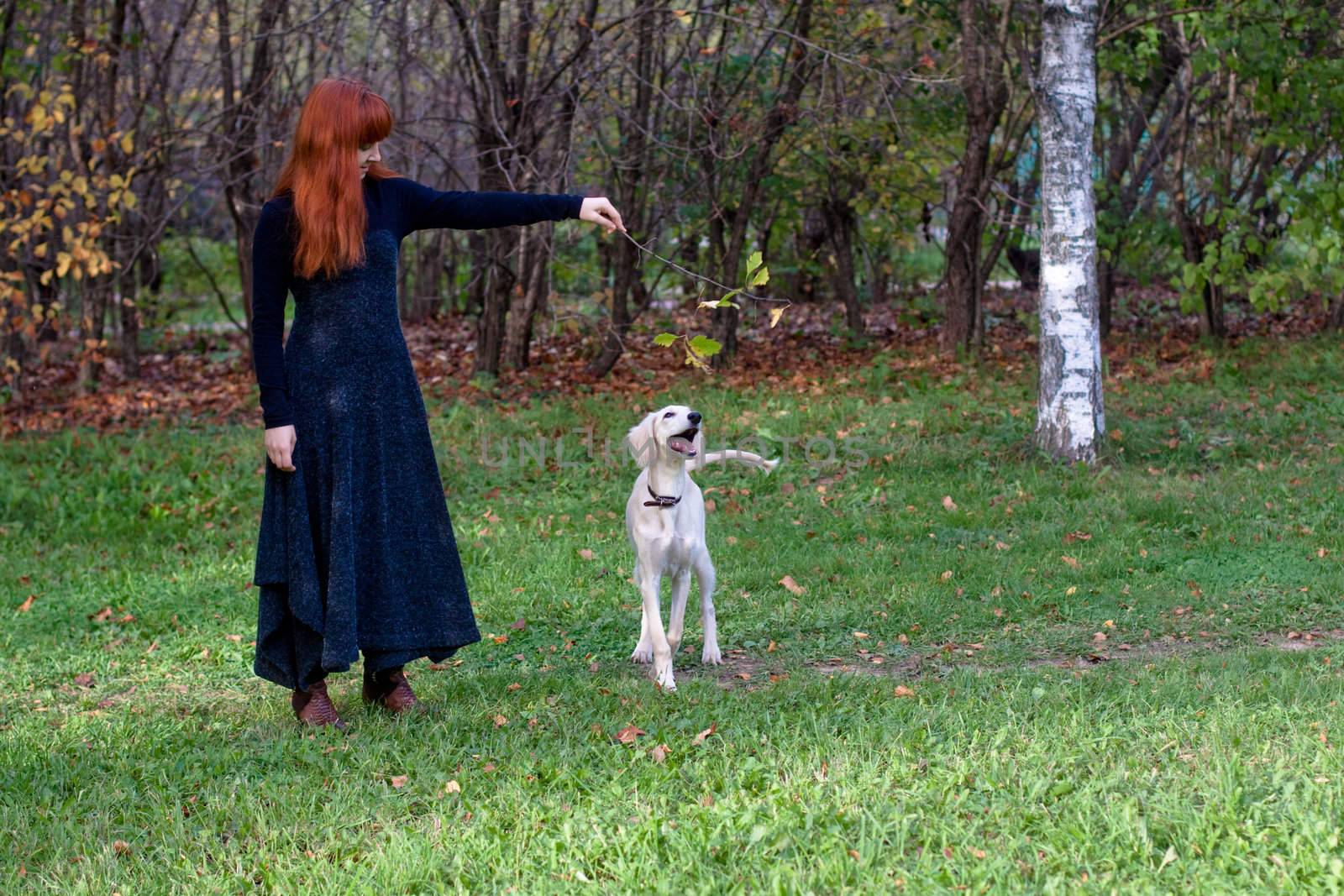 A girl in a black dress and white saliki pup in a forest 
