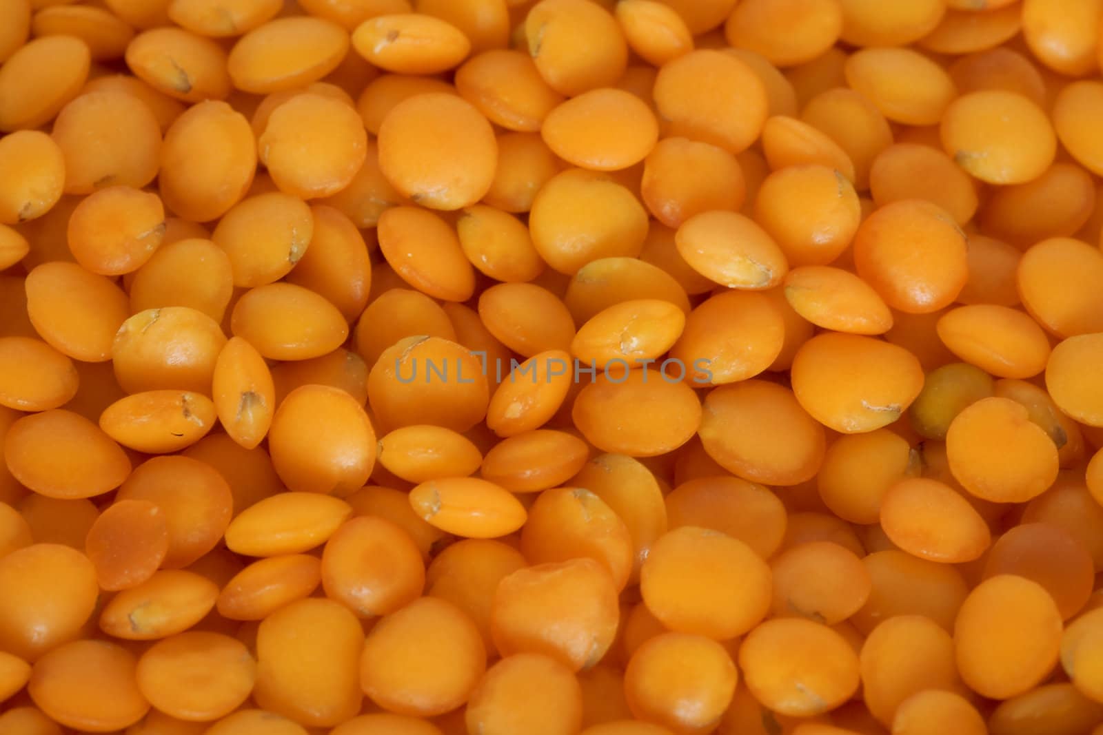 Orange lentil as a background on a cooking theme