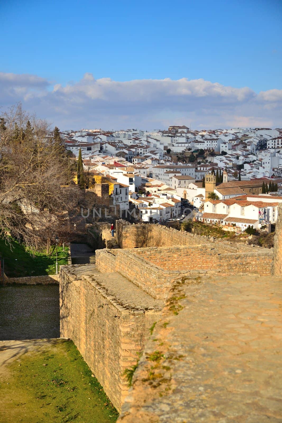 Ronda town situated on the mountains of Andalusia abyssies