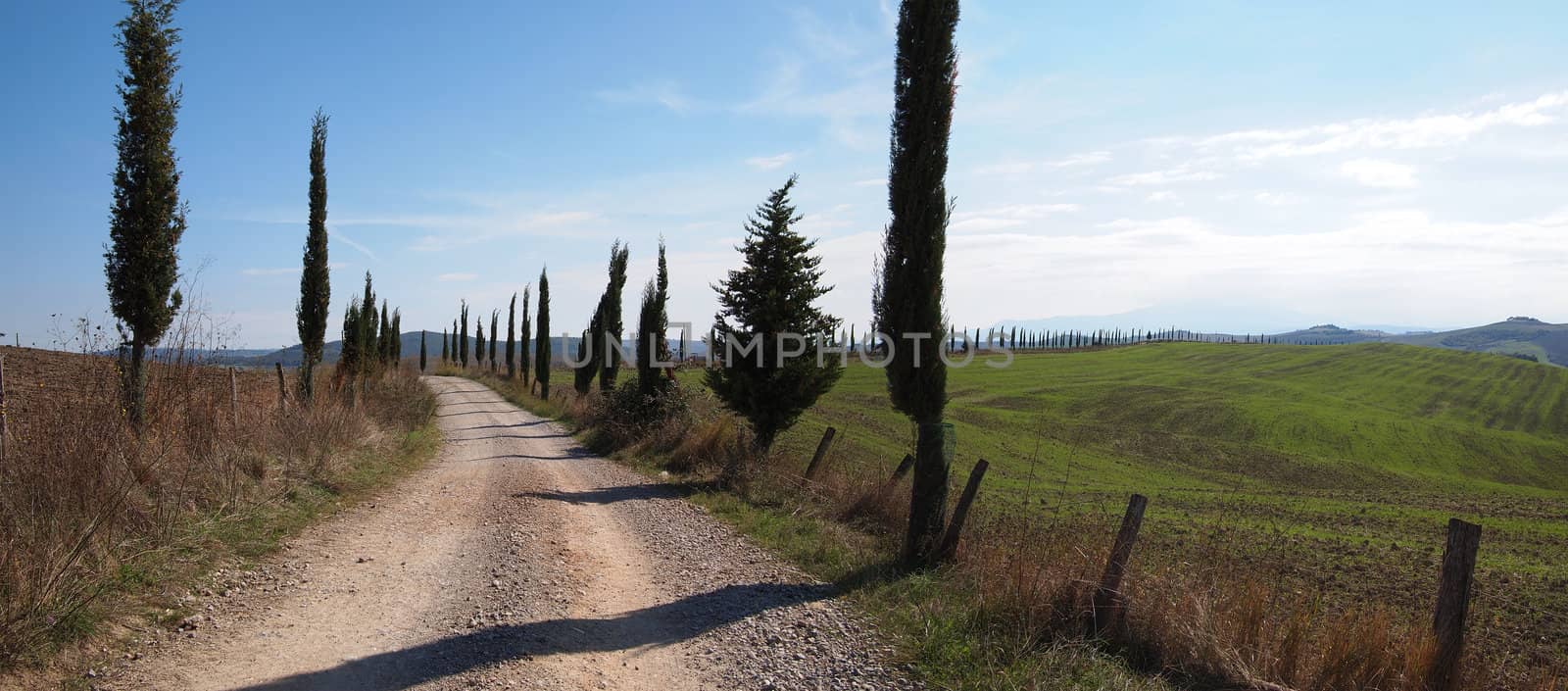 Rural road in Tuscany by pljvv