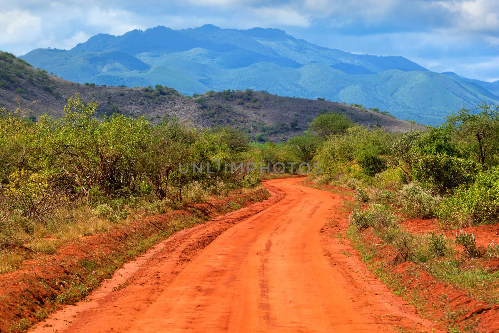 Red ground road and savanna landscape in Africa. Tsavo West, Kenya.