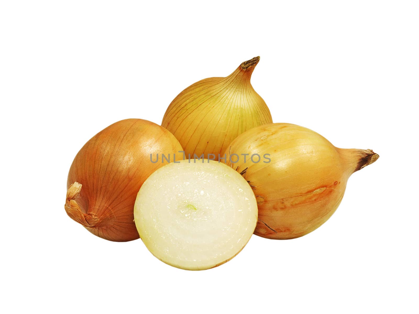 Onion isolated on a white background.