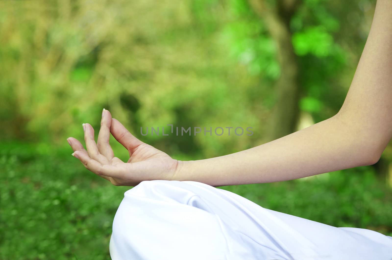 Closeup of woman hands in yoga pose by tomwang