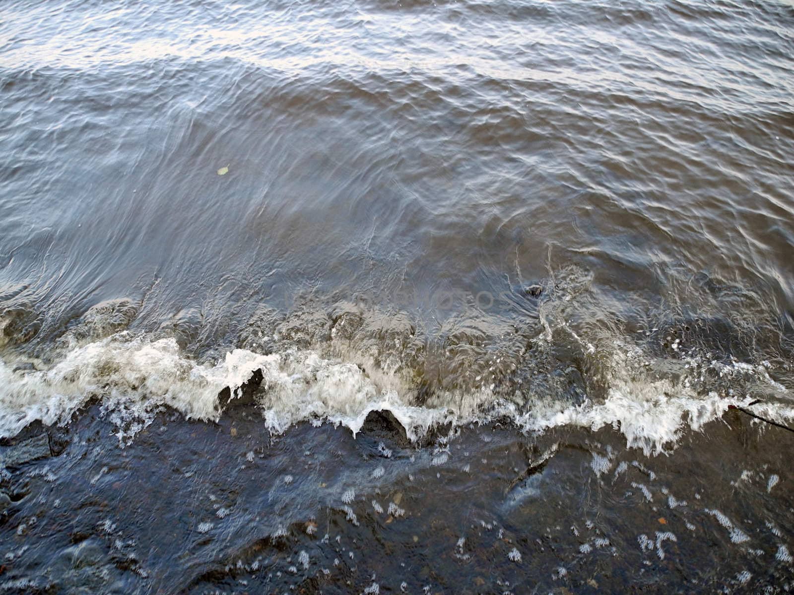 water in the Ķīšezers, the lake in territory of Riga, capital of Latvia