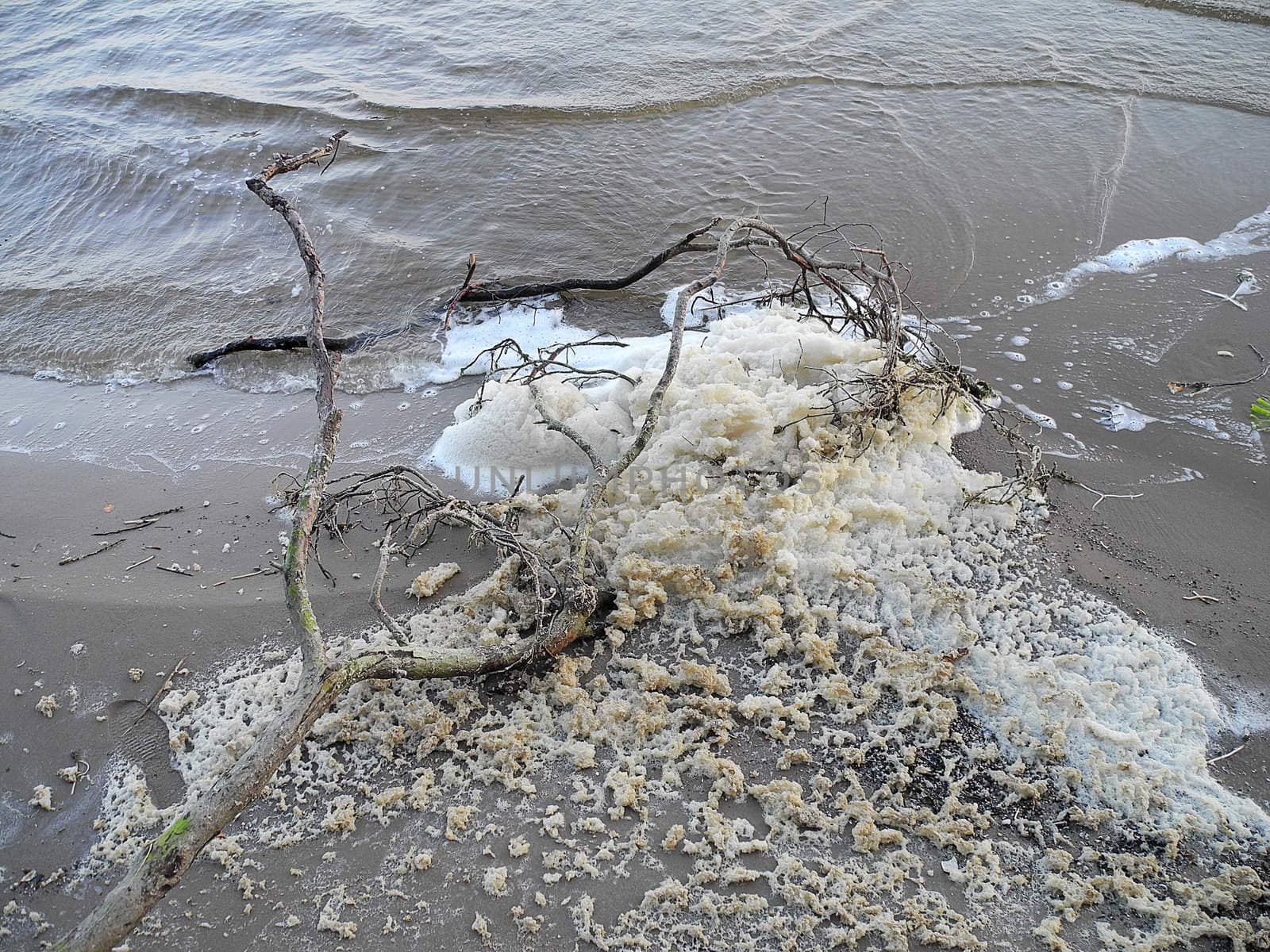 Foamy water in the Ķīšezers, the lake in territory of Riga, capital of Latvia