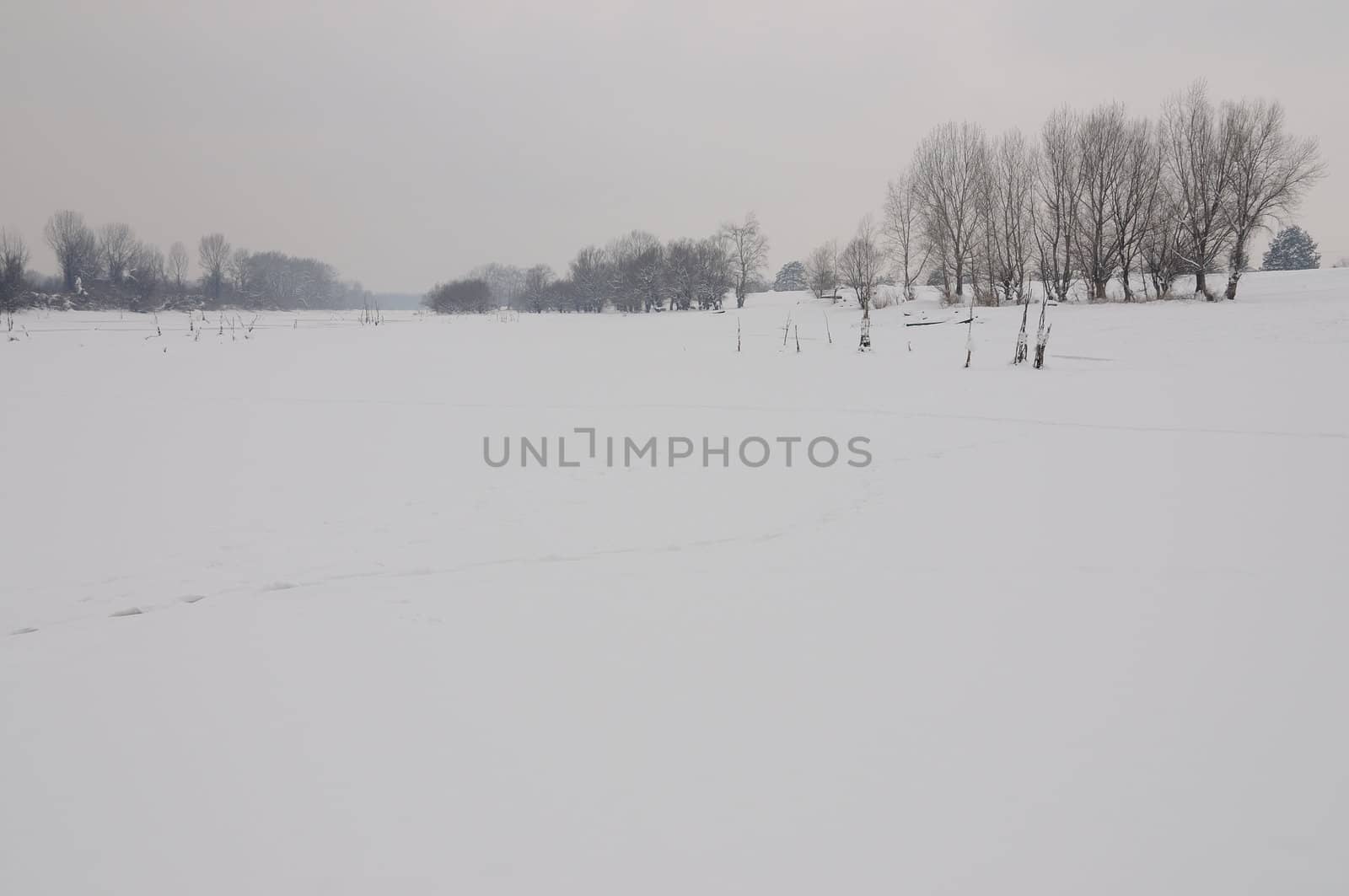 Winter landscape covered with snow and trees behind