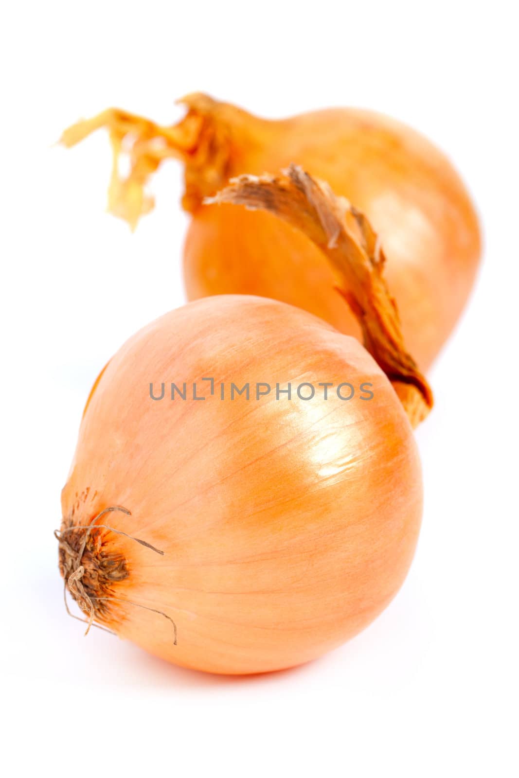 Fresh bulbs of onion on a white background  by motorolka