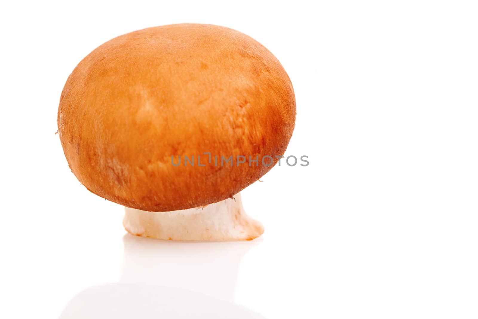 fresh mushrooms, isolated on white  by motorolka