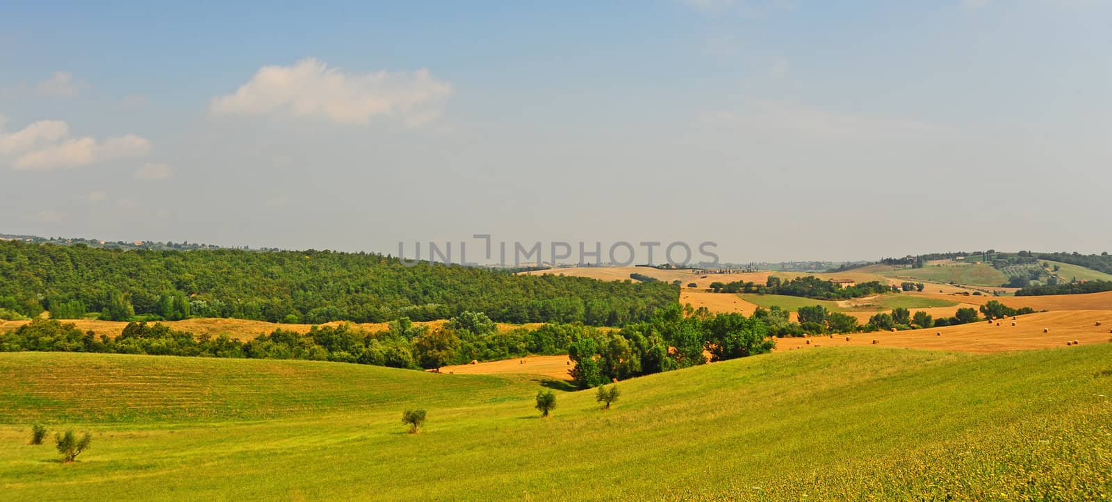 Tuscany Landscape by gkuna