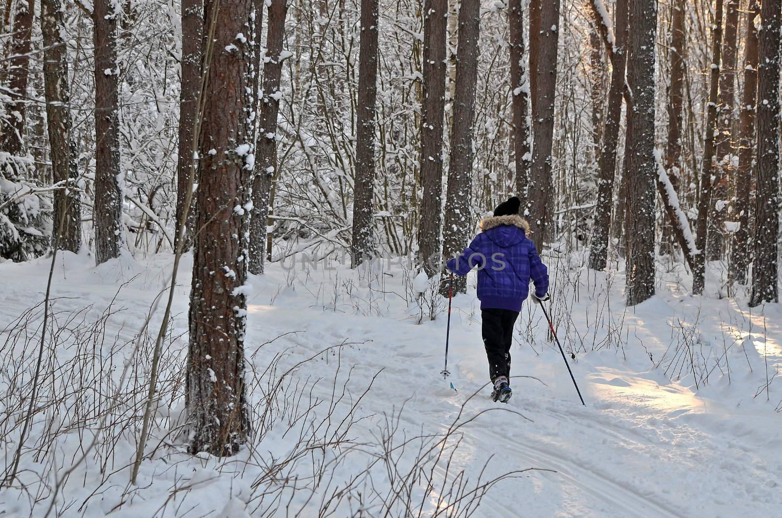 A girl is cross country skiing in a forest in Sweden.