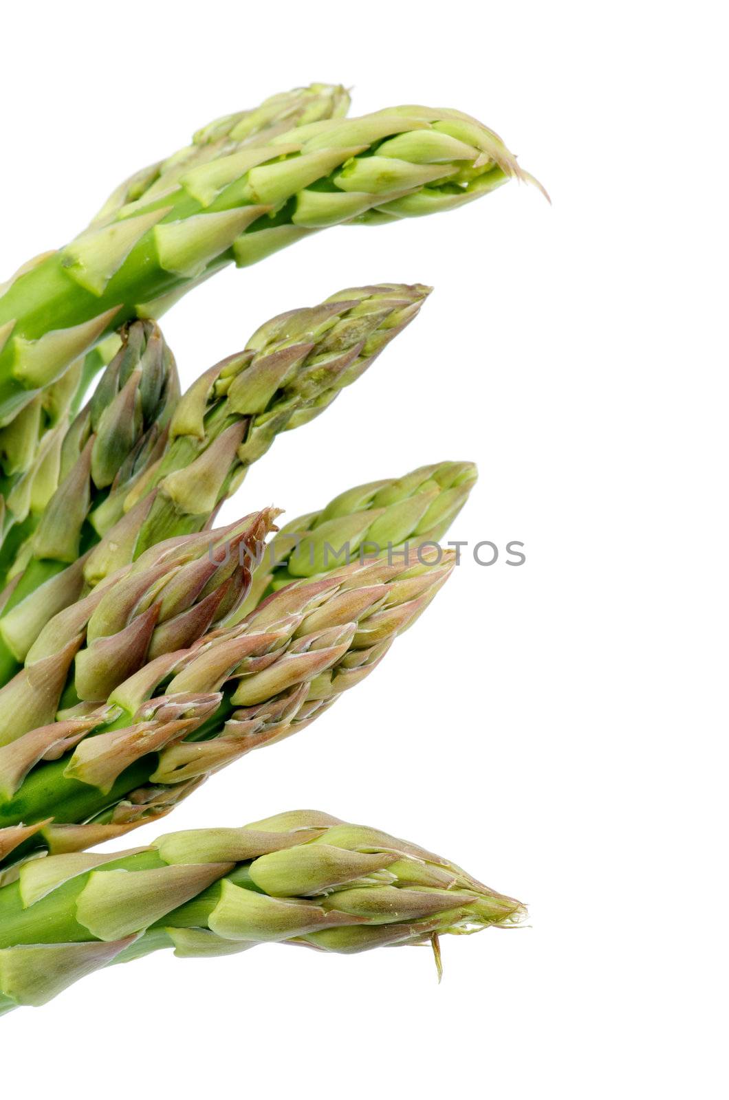 Green and Pink Asparagus Sprouts isolated on white background